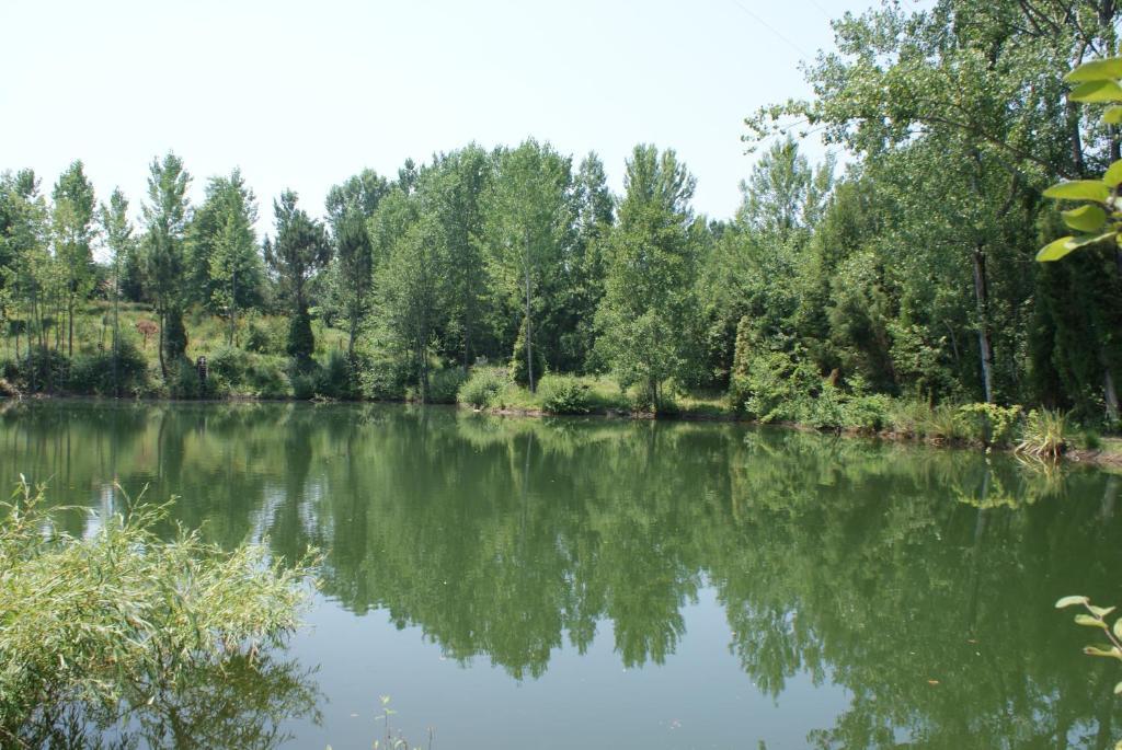 Quinta Do Sobreiro Guest House Вила Верде Екстериор снимка